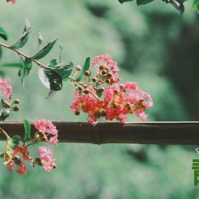 pg棋牌软件平台官方版下载